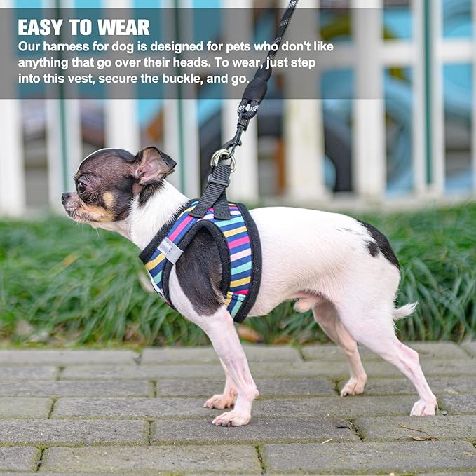 BEAUTYZOO Dog Harness and Leash Set for Small Dogs,No Pull Step-in Harness for Puppy XS S Sized Dogs and Cats,Air Mesh Adjustable Breathable Soft No Choke Escape Proof Vest Harnesses,Striped Teal XXS