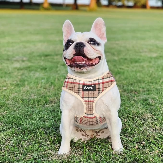 PUPTECK Soft Mesh Dog Harness and Leash Set Pet Puppy Cat Comfort Padded Vest No Pull Harnesses, Khaki, S