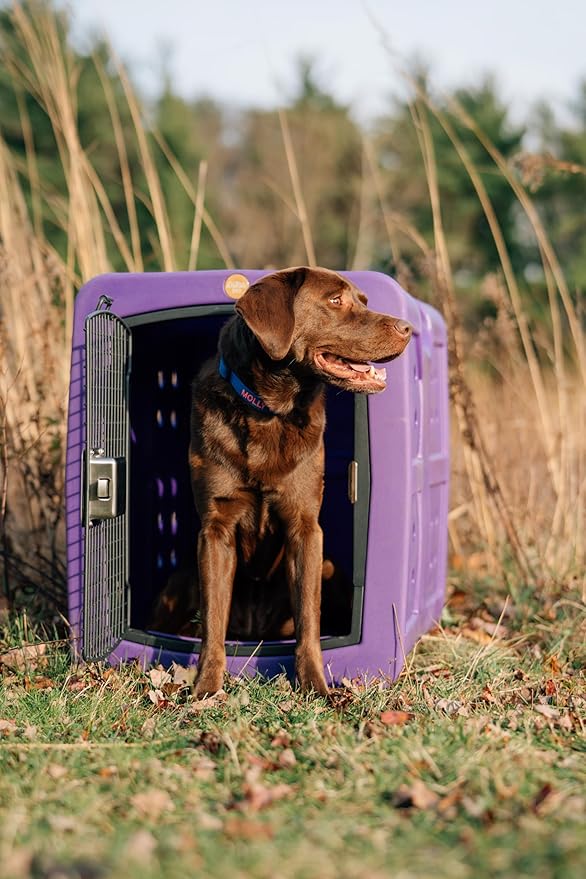 dakota283 G3 Framed Door Kennel - Medium - Purple