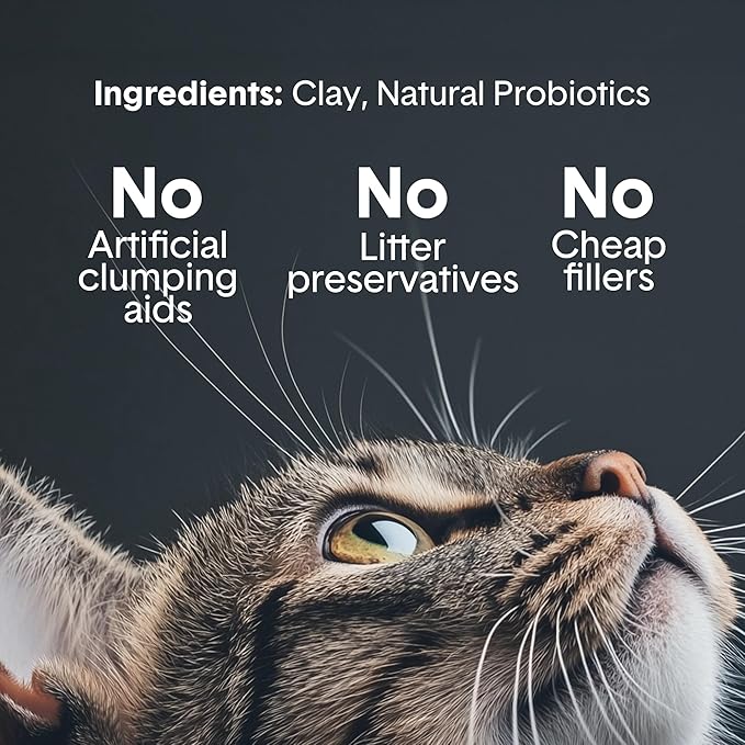 Boxie Probiotic Cat Litter, 40 Day Odor Control, Clumping Clay Kitty Litter, Odor Eliminating Probiotics, Dust-Free, No Fragrances No Fillers, 40 lb