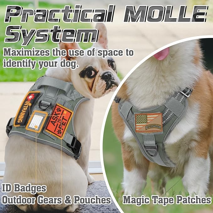 rabbitgoo Tactical Dog Harness Medium Sized Dog, No Pull Military Service Vest with Handle & Molle, Easy Control for Training Walking, Adjustable Reflective Straps, Dark Grey, M