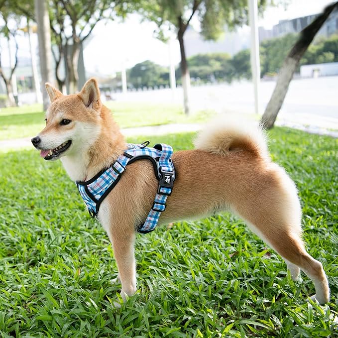 PoyPet Plaid Dog Harness, No Pull Front Clip Pet Vest Harness, Soft Padded Reflective Adjustable Walking Harness with Handle for Large Medium Small Dogs(Checkered Blue, L)