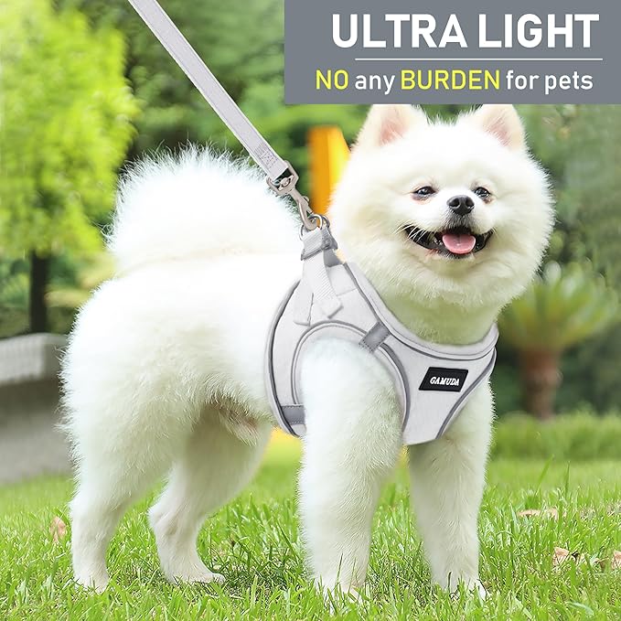 GAMUDA Small Pet Harness Collar and Leash Set, Step in No Chock No Pull Linen Fabric Soft Mesh Dog Vest Harnesses Reflective for Dogs Puppy Cats Kitten Rabbit (White, L)