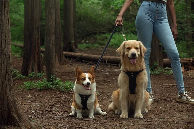 Dog Harness, No Pull Dogs Harness and Multi-Function Leash Set for Medium Dogs Easy Walk Everyday Adjustable Soft Dog Vest Harness Fashionable Dog Accessories Black-Button-L