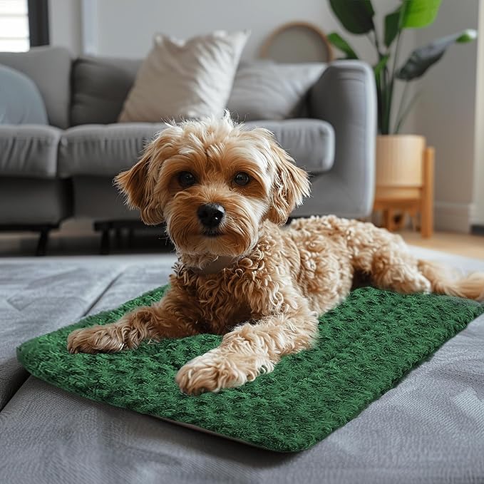 Washable Dog Bed Plush Orthopedic Outdoor Crate Mat with Non-Slip Bottom,Luxe Soft Kennel Pad for Pets,Cozy Cage Cushion & Pet Sleeping Mattress Large Sized,Medium,Small Dogs,24 x 18 inch,Green