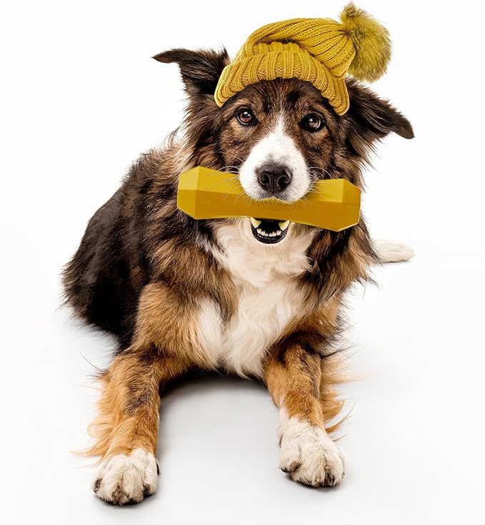 Playology Dog Toys | Durable Squeaky Chew Stick for Dogs | Jumbo Apple Cider Scented Toy - Limited Edition Fall Collection | Easy to Clean and Made from Non Toxic Materials