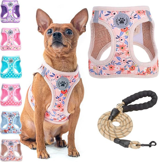 BEAUTYZOO Step in Dog Harness and Leash Set, Floral Pattern Reflective Dog Harness No Pull No Choke Puppy Harness for XXS XS S Dogs Cats, Soft Padded Mesh Vest Harnesses for Girl and Boy Pets