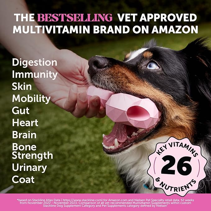 Dog Multivitamin - 10 in 1 Dog Vitamins for Health & Heart - Omega Fish Oil, Glucosamine & Probiotics - Dog Vitamins and Supplements for Skin and Coat (Chicken 180 ct)