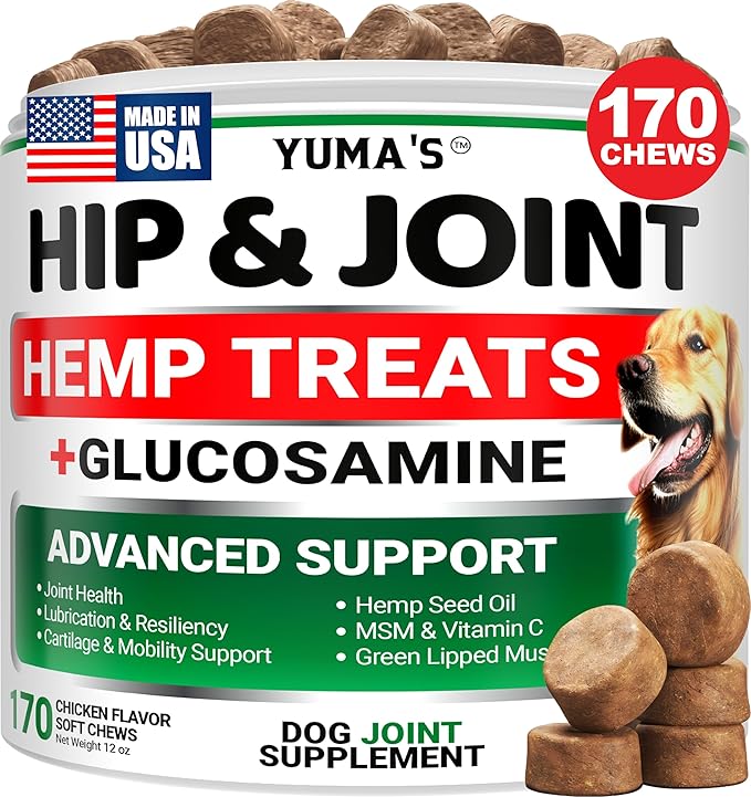 YUMA'S Hemp Hip and Joint Supplement for Dogs - Glucosamine for Dogs - 170 Joint Pain Relief Chews - Chondroitin, MSM - Hemp Oil - Advanced Canine Health Supplement - Mobility Support Treats