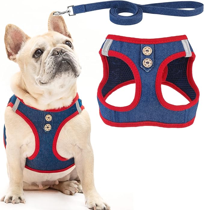 PUPTECK Dog Harness and Leash Set for Small Medium Dogs No Pull Step-in Soft Mesh Puppy Cat Vest Harnesses Reflective at Night, Denim NavyBlue M