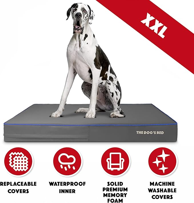 The Dog’s Bed Orthopedic Memory Foam Dog Bed, XXL Grey & Blue 54x36, Pain Relief for Arthritis, Hip & Elbow Dysplasia, Post Surgery, Lameness, Supportive, Calming, Waterproof Washable Cover