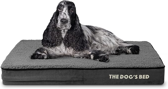 The Dog’s Bed Orthopedic Memory Foam Dog Bed Dark Grey Plush Medium, Pain Relief for Arthritis, Hip & Elbow Dysplasia, Post Surgery, Lameness Supportive, Waterproof Washable Cover, Veterinary Approved