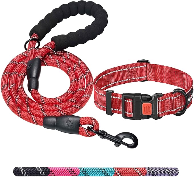 Heavy Duty Dog Leash - Comfortable Padded Handle, 5 ft Long - Dog Leashes for Small Medium Large Dogs (Leash+Collar M Neck 16"-20", Red)