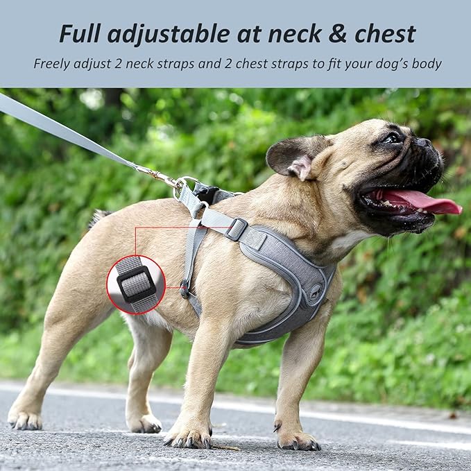 Dog Harness with Leash Set, Puppy Harnesses with Breathable Padded for Small Dogs Training and Running(XS, Gray)
