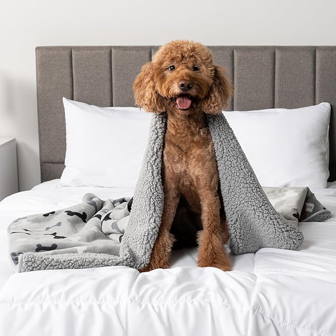 PetAmi Waterproof Dog Blanket for Medium Large Dogs, Pee Proof Pet Bed Couch Cover, Reversible Water Proof Blanket for Puppy Indoor Cat, Soft Dog Pee Crate Cover, Washable, 60x80 Bone Gray