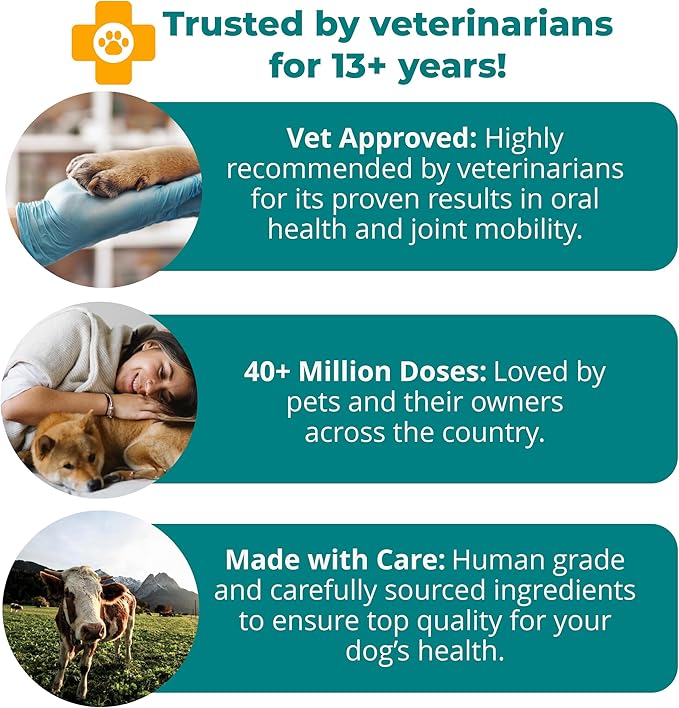 1TDC WorksSoWell Dual Action Joint Supplement For Dogs & Cats - Hip And Joint Supplement For Large Breed & Small Breed - Also Great For Oral Health - Muscle & Stamina Recovery & Arthritis - 120ct