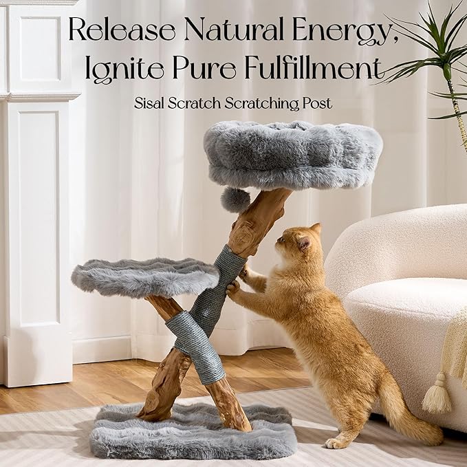 Solid Wood Cat Tree, Modern Cat Tree Tower for Large Indoor Cats, Natural Real Pear Wooden Aesthetic Cat Condo with Scratching Post for Adult Kittens-Grey