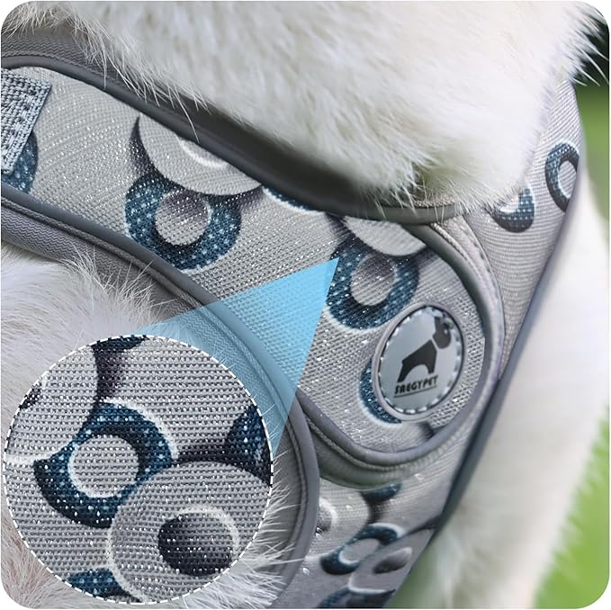 Dog Harness with Leash Set, Reflective Strips Step in with Breathable Padded Vest Harness for Small Dogs Running (S, Gray with Circle)