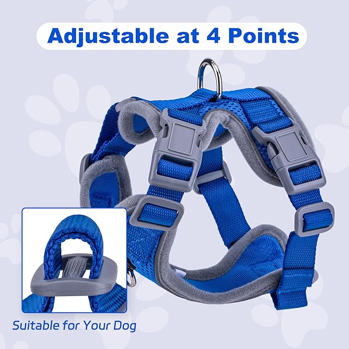 Small Dog Harness and Leash Set，No Pull Adjustable Pet Harness for Small Dogs ，Breathable Mesh Reflective Dog Vest Harness (Blue, XS)