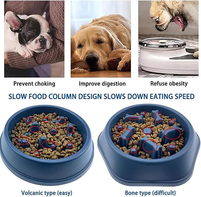 Slow Feeder Dog Food Bowl – Interactive Dog Food Dish for Breeds, Bowl Designed to Slow Eating, Promotes Healthy Digestion and Prevents Bloat, Ideal for Cats and Dogs