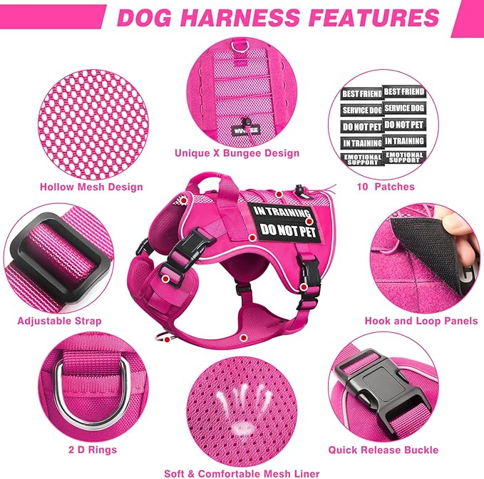 WINSEE Service Dog in Training Mesh Harness with 10 Pet Patches, Soft Air Mesh Breathable Tactical Dog Molle Vest, Reflective Military Pet Vest for Walking Hiking for Small Dogs