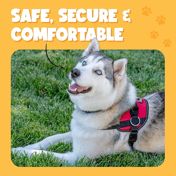 Bark Appeal Purple Plaid No-Pull Dog Harness for XS to Small Sized Pets – Adjustable, Reflective Vest with 3 Leash Clips for Added Control, Easy Walks & Training – Small