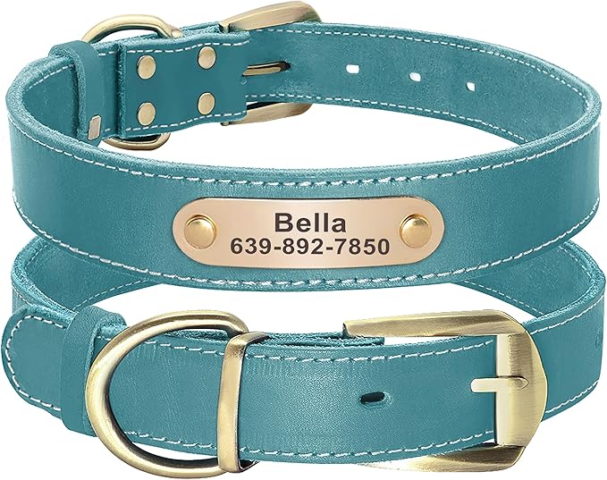 Didog Genuine Leather Dog Collars with Engraved Nameplate, Personalized Soft Leather Dog Collar with Custom ID Tag, Brown/Green/Red for Small Dogs (M,Blue)