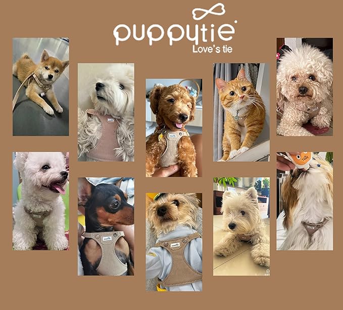 Puppytie No Pull xs Dog Harness with Multifunction Dog Leash,Soft Adjustable No Choke Escape Proof Pet Harness Vest,Denim Mocha Brown,XXS