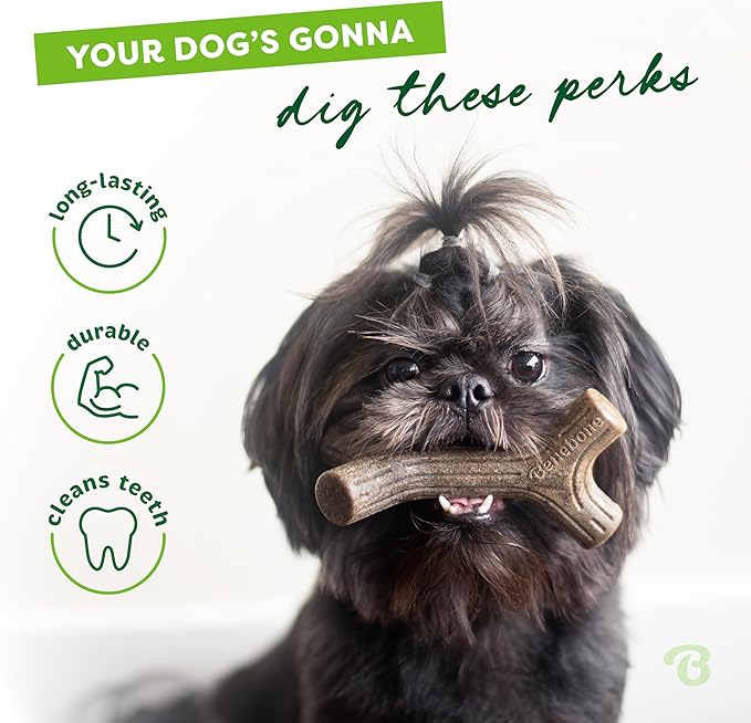 Benebone Maplestick Real Wood Durable Dog Chew Toy, Made in USA, Small