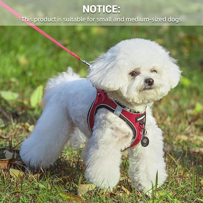 Dog Harness and Leash Set, Dog Harness for Dogs No Pull, No-Chock Step-in Reflective Breathable Lightweight Easy Walk Vest Harnesses with Safety Buckle for Small Medium Dogs, Cats (Red, XS)