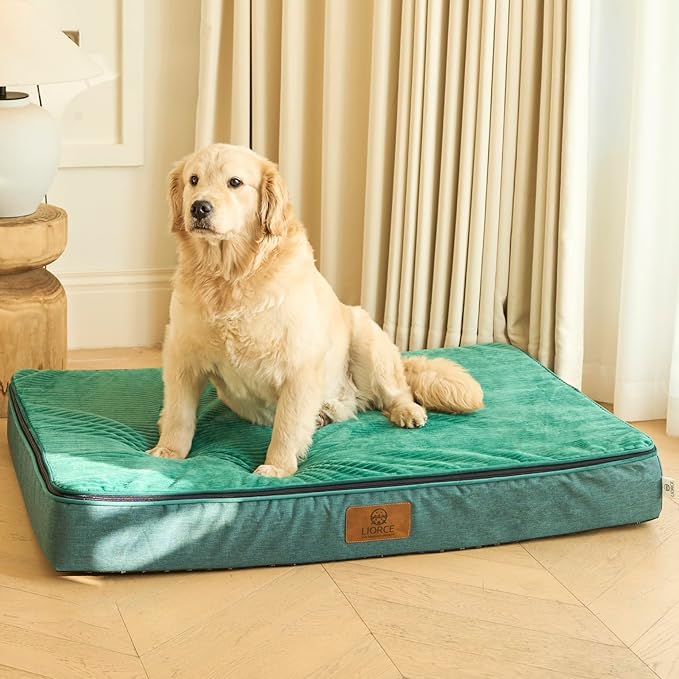 Orthopedic Memory Foam XXL Dog Bed - 6" Thick Beds for Extra Large Sized Dog - Waterproof Removable Washable Cover & Wrap-Around Zipper - Ultimate Comfort & Easy Maintenance, Green