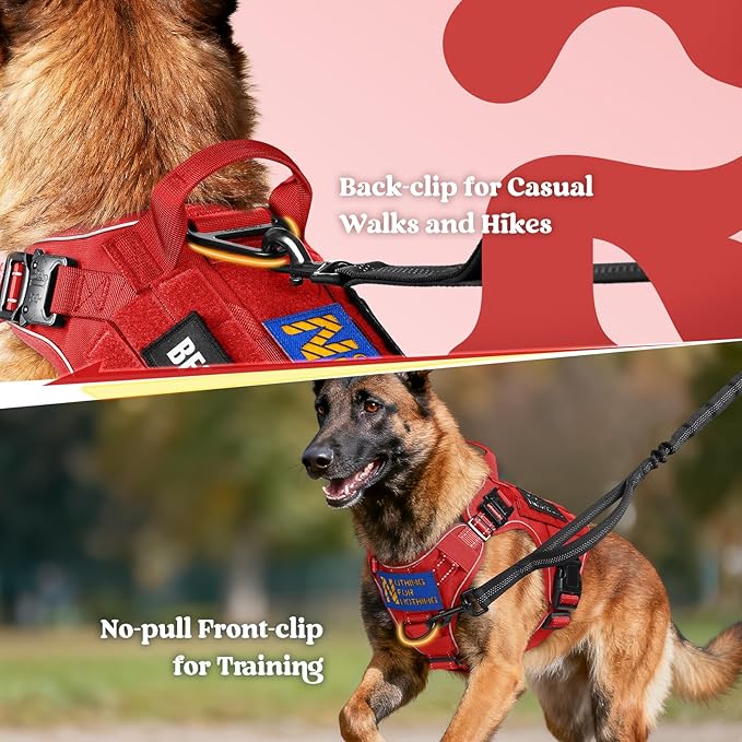 rabbitgoo Tactical Dog Harness Medium Sized, No Pull Upgraded Reflective Heavy Duty Molle Vest with Handle, Adjustable Military Service Dog Vest for Walking Hiking Training, Red, M