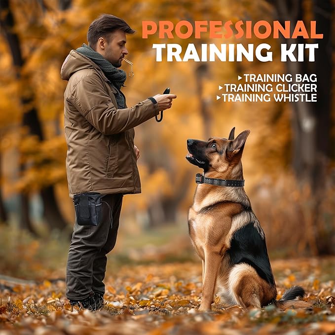 PATPET Dog Training Collar, 1.2 Mile Range 101 Training Levels Dog Shock Collar with Remote Control (15-150 lbs), Waterproof 100% Safe E Collar for Large Breed for Dogs Black with Vivid Orange