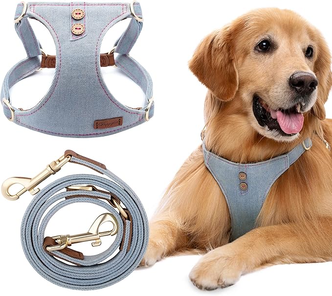 Dog Harness, No Pull Dogs Harness and Multi-Function Leash Set for Medium Dogs Easy Walk Everyday Adjustable Soft Dog Vest Harness Fashionable Dog Accessories Grey Blue-Button-L