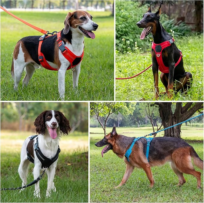 Plutus Pet No Pull Dog Harness, Release at Neck, Soft Padded, Reflective Adjustable Dog Vest Harness for Small, Medium, Large Dogs(Ranger Green, S)