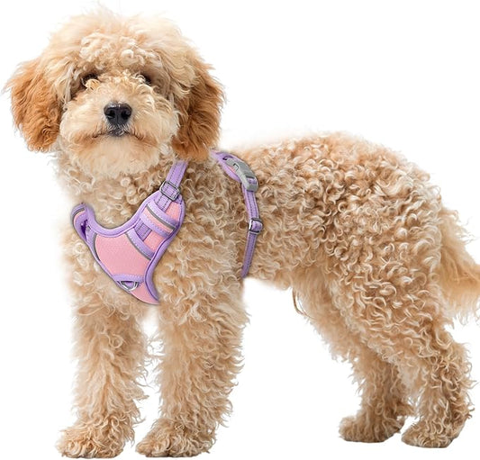 BARKBAY No Pull Dog Harness Large Reflective Dog Harness with Front Clip and Easy Control Handle for Walking Training Running with ID tag Pocket(Baby Pink & Violet Purple,XS)