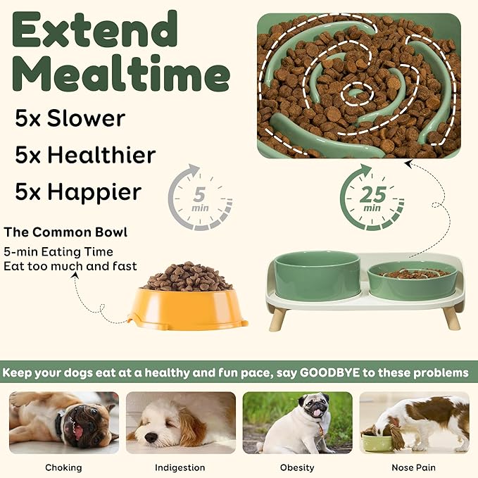 Elevated Slow Feeder Dog Bowls - Ceramic Food and Water Bowl Set with Stand - Raised Pet Dishes for Small and Medium Sized Dogs