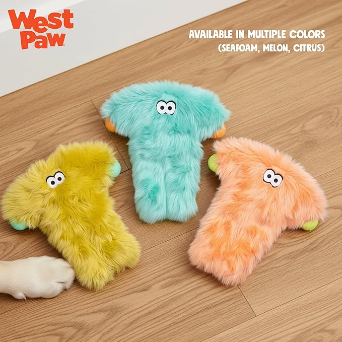 WEST PAW Rowdies Bjorn Durable Plush Dog Toy with Reinforced Seams Chew Resistant Design and Interactive Squeaker for Playtime Indoors or Outdoors Bundle for Dogs Who Deserve The Best - Melon