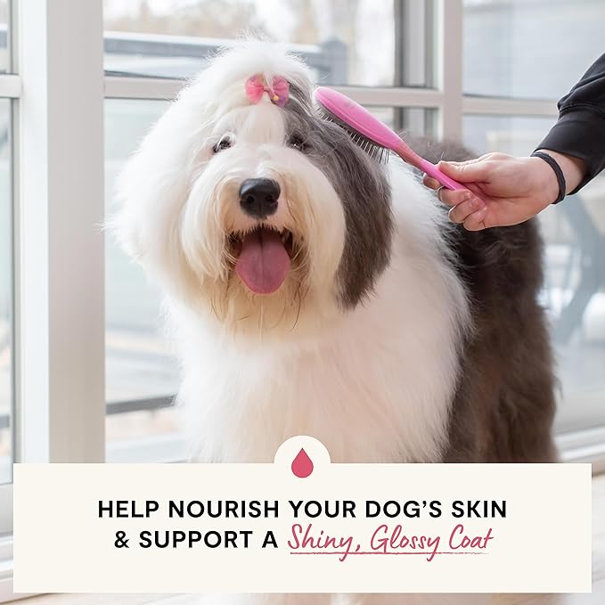 Open Farm, Skin & Coat Health Dog Food, Veterinarian Formulated Kibble with Salmon Oil and Vitamin E to Support Healthy Skin & A Shiny Coat, Wild-Caught Salmon & Oatmeal Recipe, 4lb Bag