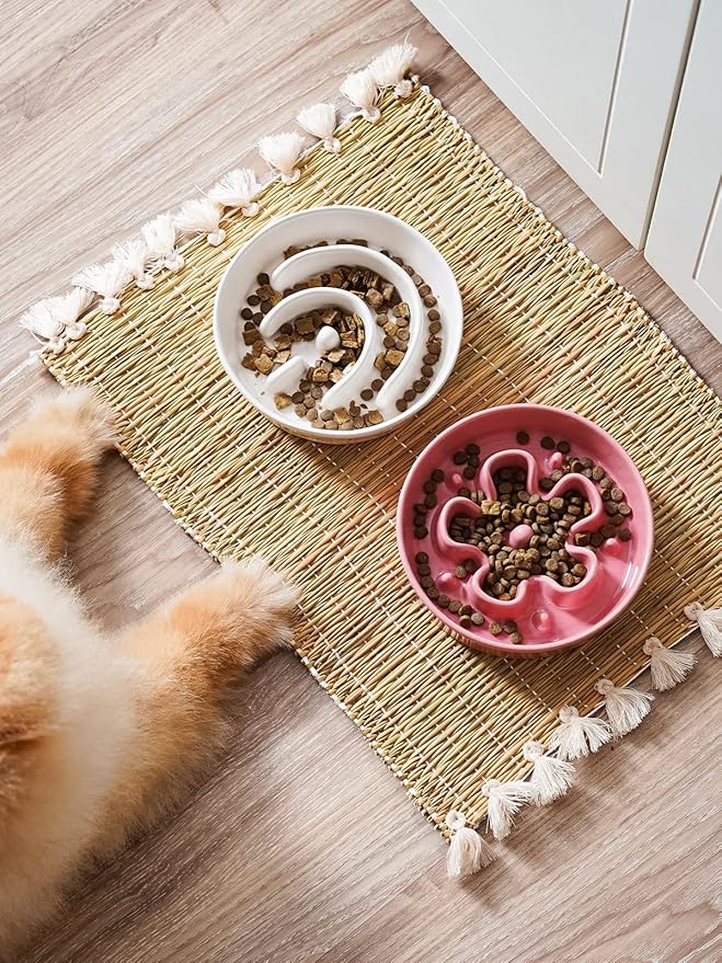 LE TAUCI Ceramic Slow Feeder Dog Bowls Small Breed, 0.6 Cups Dog Food Dish for Fast Eaters, Puzzle Bowl for Small Dogs and Cats,Pink Bloom