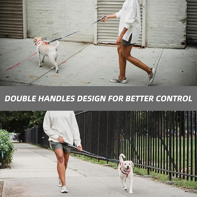 Roses&Poetry Hands Free Dog Leash for Medium Large Dogs Heavy Duty, No Pull Bungee Dog Running Waist Leash for Walking Training with Car Seatbelt 4-6FT