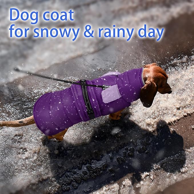 MIGOHI Warm Dog Jacket - Waterproof Small Dog Coat with Furry Collar, Windproof Dogs Fleece Vest, Reflective Cold Weather Coats for Small Dogs, Adjustable Buckle, Poodle,S,Purple