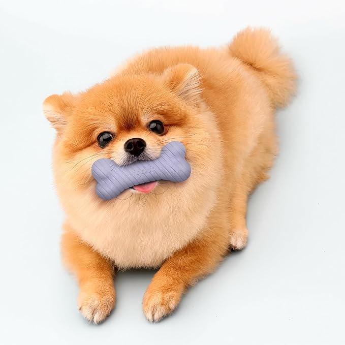 Playology Dog Toys | Dual Layer Bone Durable Chew Toy Bone for Dogs (Value 2-Pack) | Small Lamb Scented Toy - Easy to Clean and Made from Non Toxic Materials