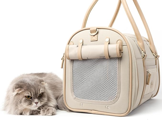 Soft-Sided Pet Carrier for Cats and Small Dogs – Stylish, Airline-Approved Travel Bag with Mesh Ventilation, Collapsible, Removable Pad and Safety Leash, Fits up to 16 lb