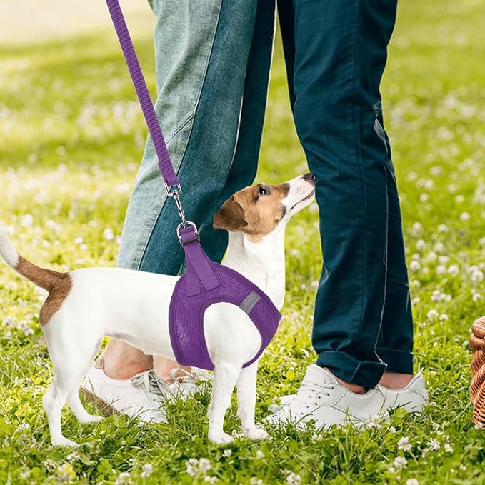 PUPTECK Adjustable Dog Harness Collar and Leash Set Step in No Pull Pet Harness for Small Medium Dogs Puppy and Cats Outdoor Walking Running, Soft Mesh Padded Reflective Vest Harnesses