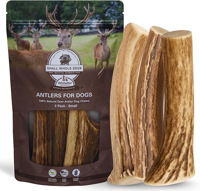 WhiteTail Naturals - Antlers for Small Dogs (3 Pack) Deer Antler Dog Chew Bones for Small Aggressive Chewers - Long Lasting Horn Chew Toys - Naturally Shed