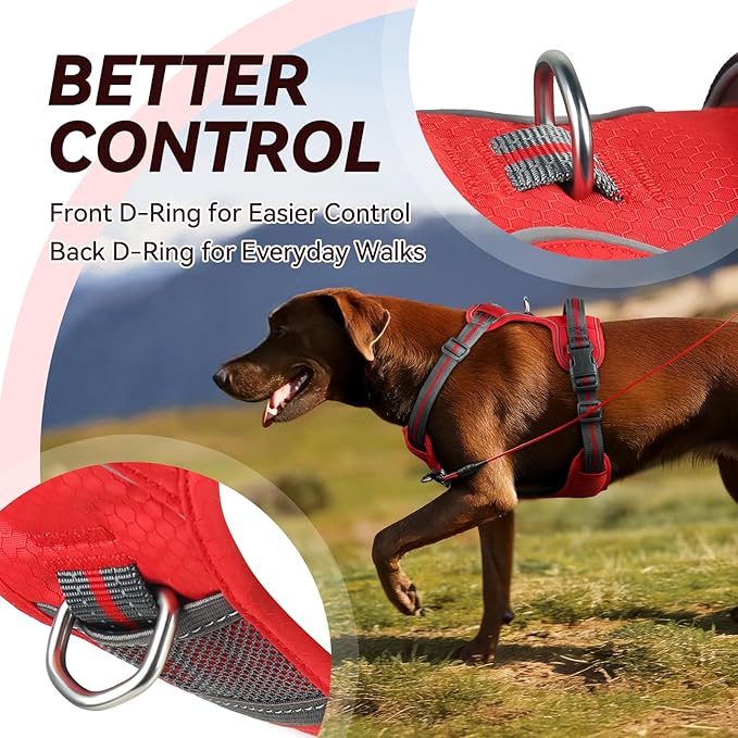 VIVAGLORY Dog Harness Easewalk No Pull Dog Harness with Handle & Front Back Clip for Training Lifting, Easy On Adjustable Padded No Pull for Pet & Puppy, XS, Red