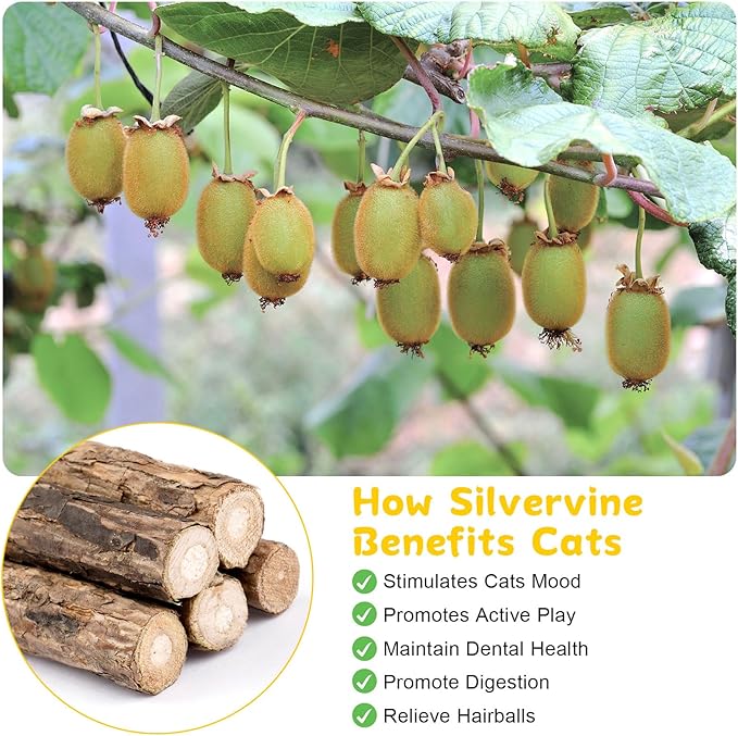 9 Pack Silvervine Sticks for Cats, Natural Cat Chew Stick Cat Toys Set, Matatabi Dental Care Cat Treat for Indoor Cats/Kittens Dental Care Teeth Cleaning/Play