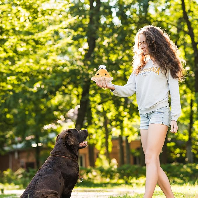 Flourish Pets 2 in 1 Multi-Layer Chew Toy for Active Dogs | Non-Toxic BPA Free Double Stitched Soft Fabric Exterior Dog Toys | Long-Lasting Dog Plush Toys – Pumpkin Pie