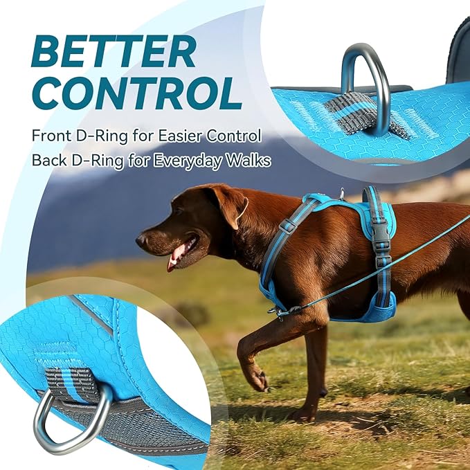 VIVAGLORY Dog Harness Easewalk No Pull Dog Harness with Handle & Front Back Clip for Training Lifting, Easy On Adjustable Padded No Pull for Pet & Puppy, XS, Blue